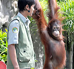 バリサファリ&マリンパークの小動物ショー