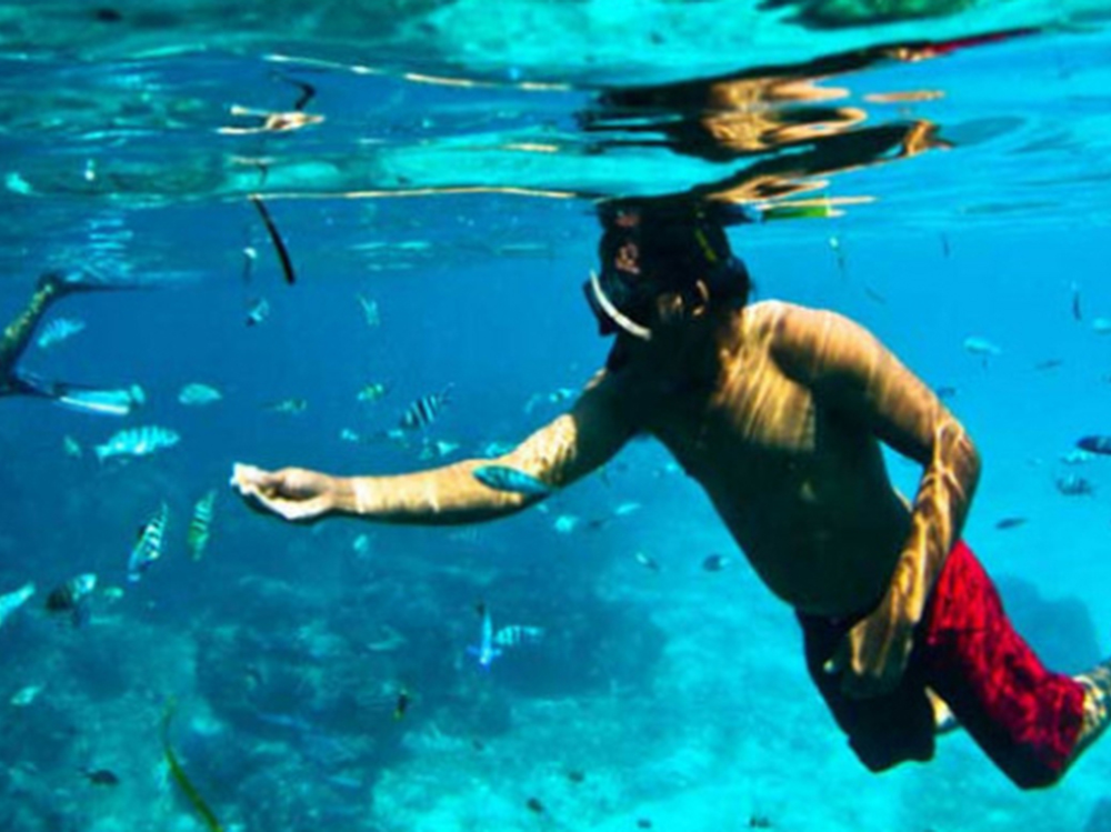 ロッキー　　スノーケリングツアー