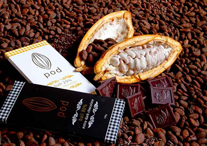 Pod チョコレートツアー