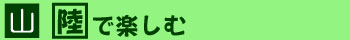バリ島アクティビティ ツアー