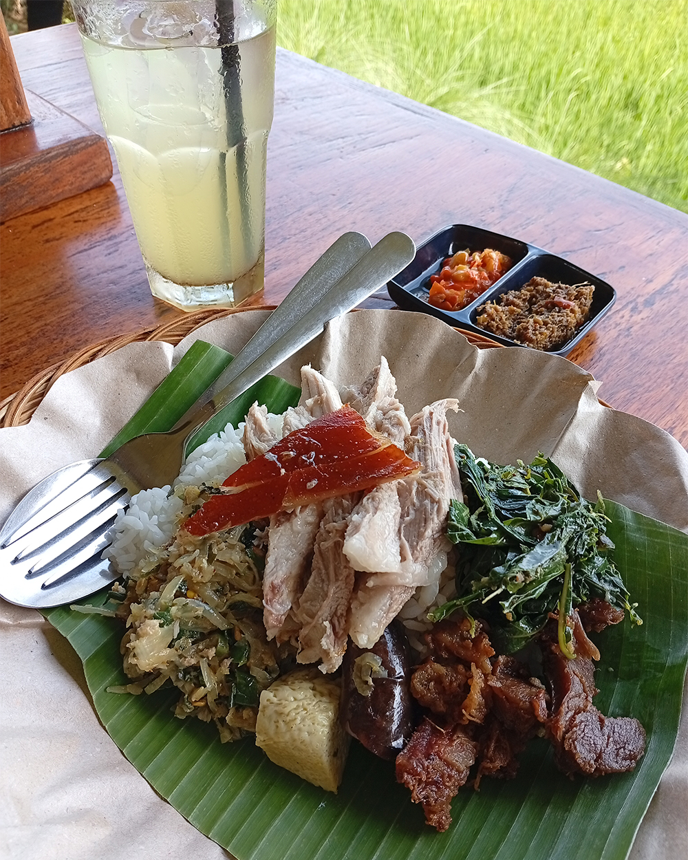 BABI GULING BIASA