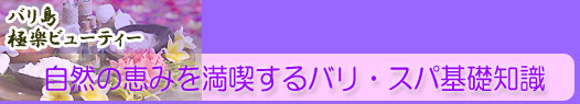 バリスパ・基礎知識